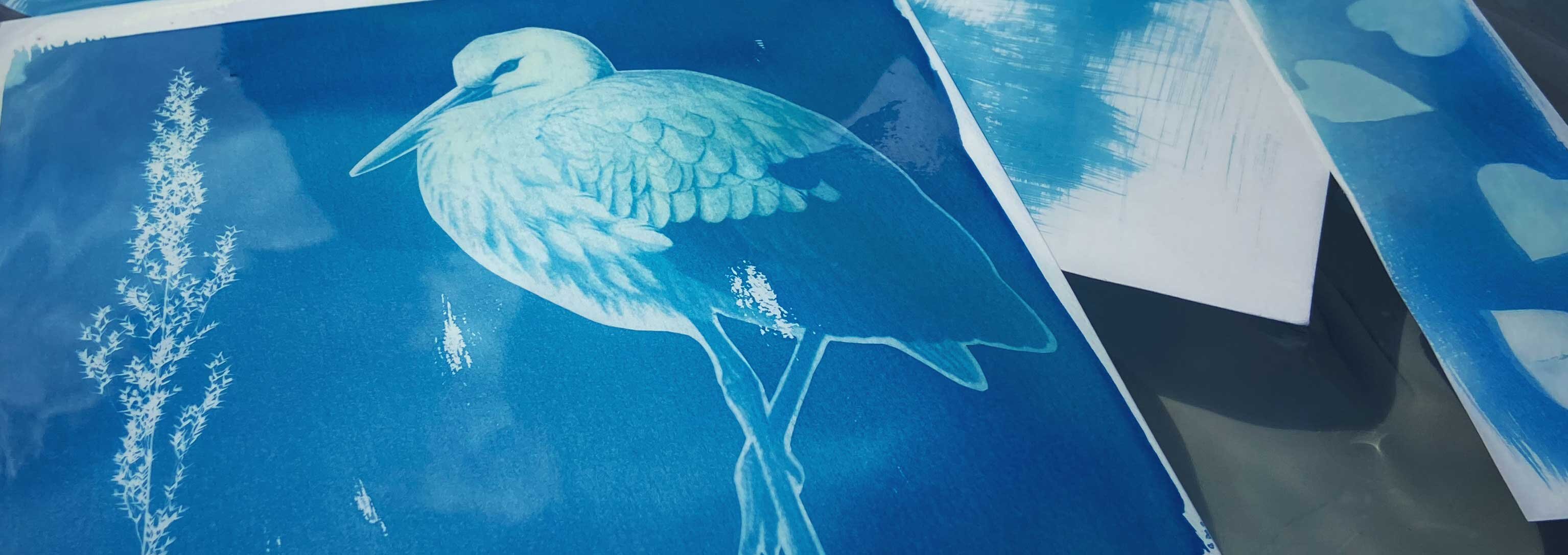 Workshop: Cyanotypie